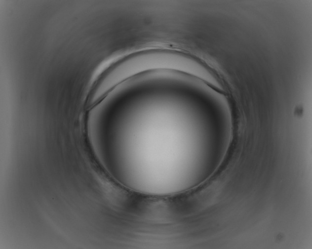 X0000092281222200709281238