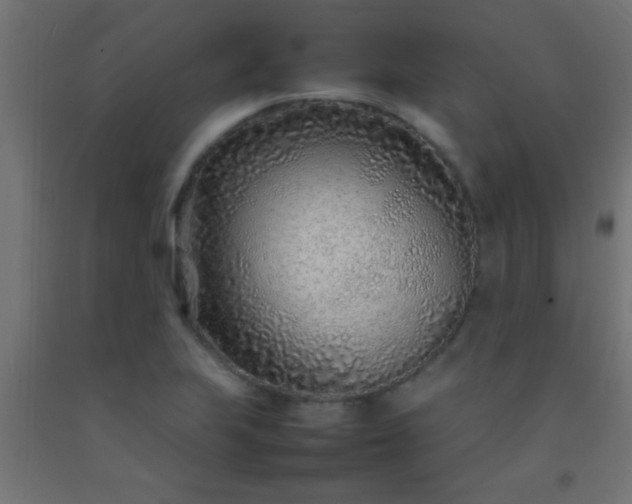 X0000092281223200709281238