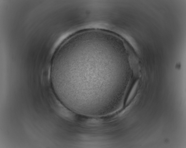 X0000092281224200709281238