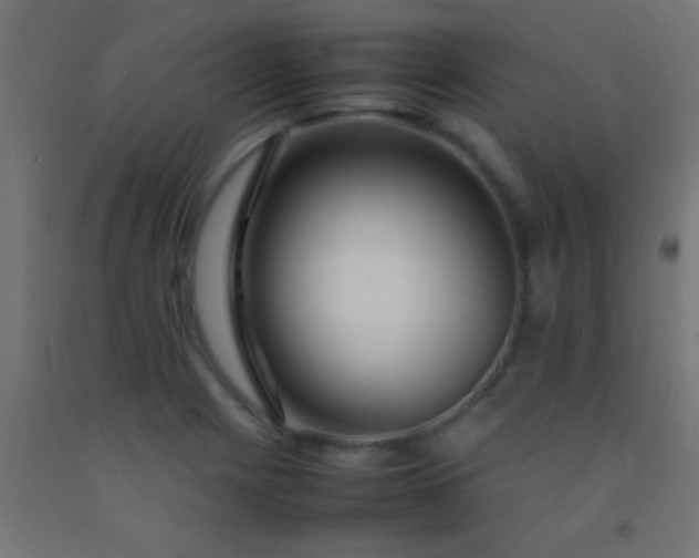 X0000092281225200709281238