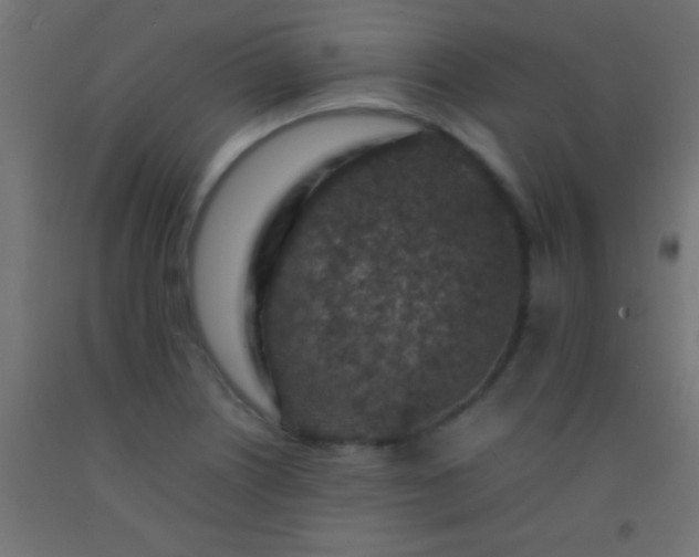 X0000092281226200709281238