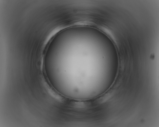 X0000092281227200709281238