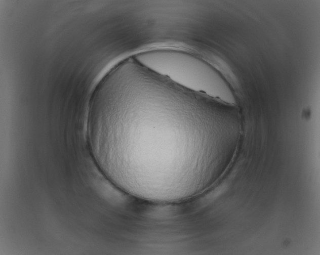 X0000092281228200709281238