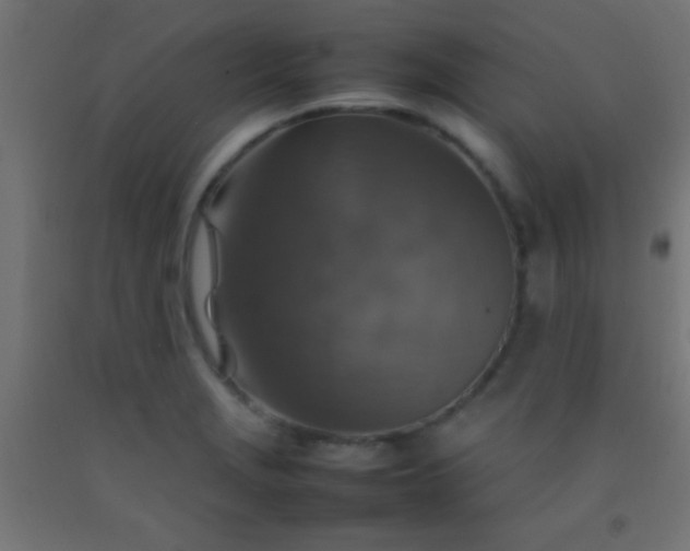 X0000092281229200709281238