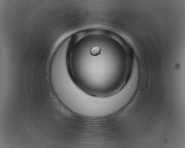 X0000092281230200709281238