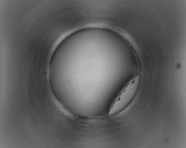 X0000092281232200709281239