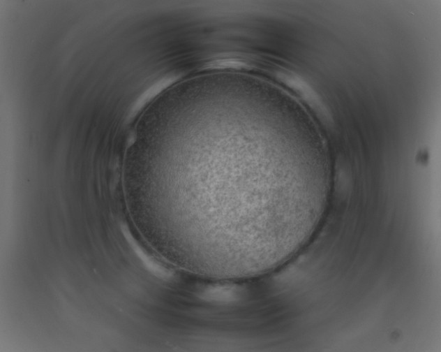 X0000092281233200709281239