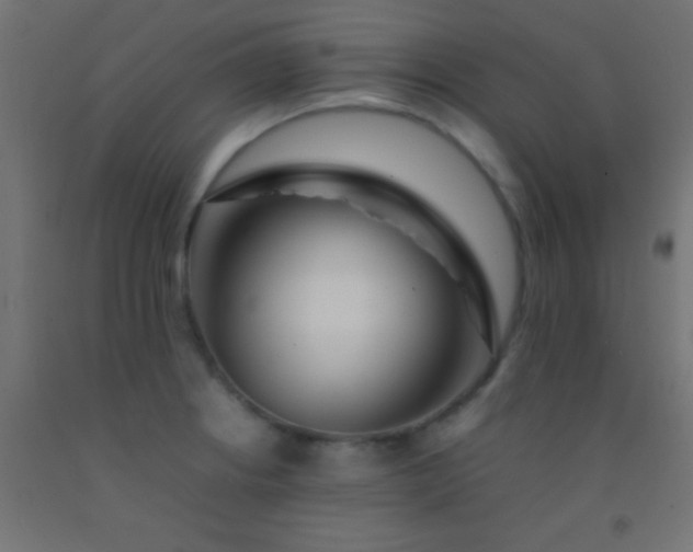 X0000092281234200709281239