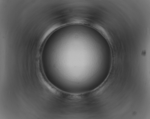 X0000092281235200709281239