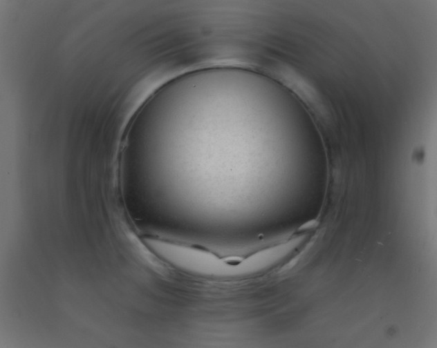 X0000092281236200709281239