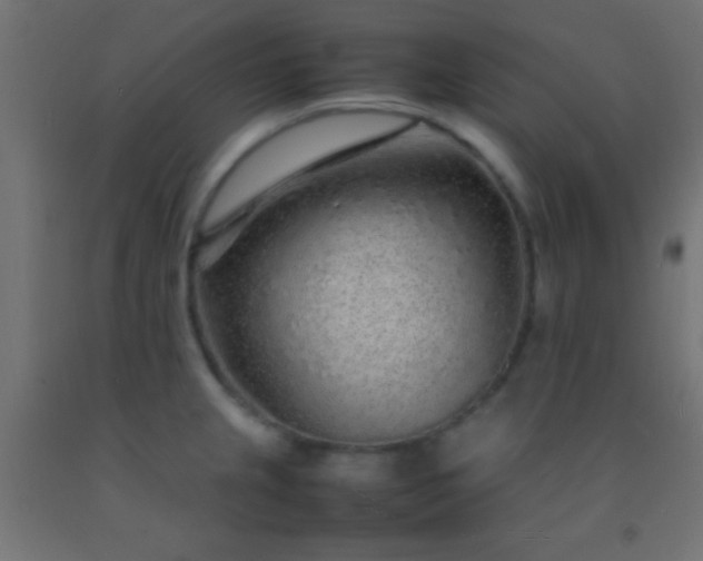 X0000092281237200709281239