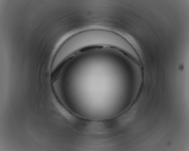 X0000092281238200709281239