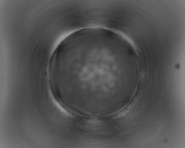 X0000092281239200709281239