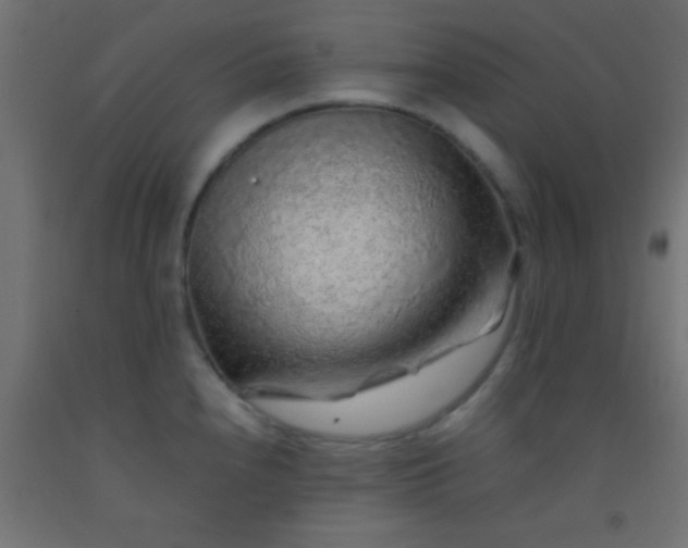 X0000092281240200709281239