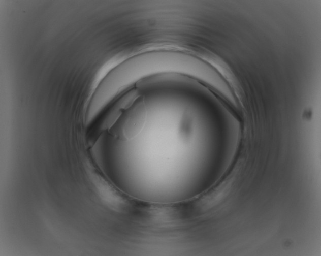 X0000092281242200709281239