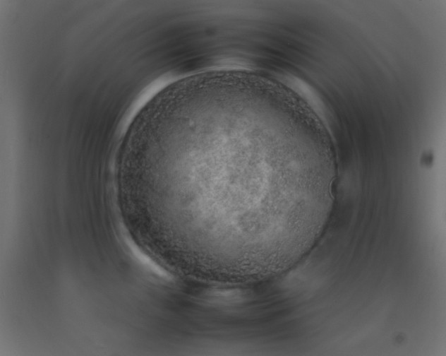 X0000092281243200709281239