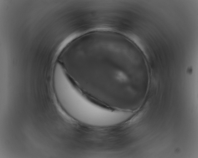 X0000092281245200709281239