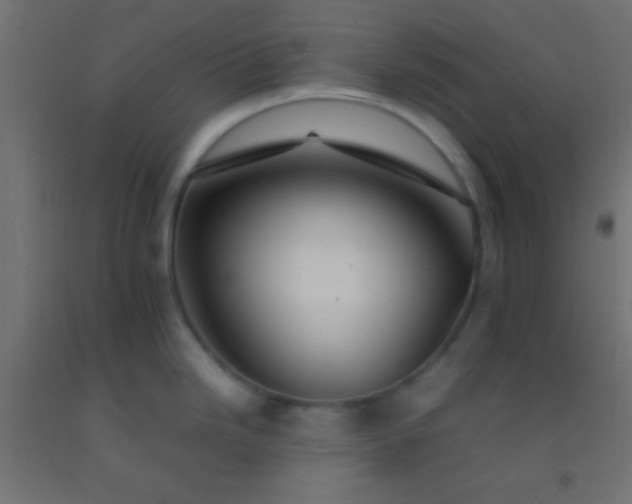 X0000092281246200709281239