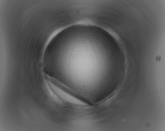 X0000092281248200709281239