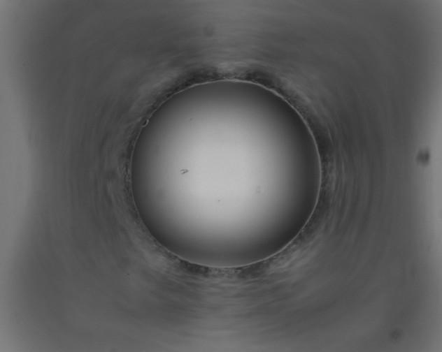 X0000092281249200709281238