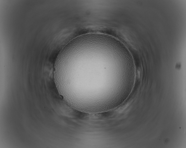 X0000092281251200709281238