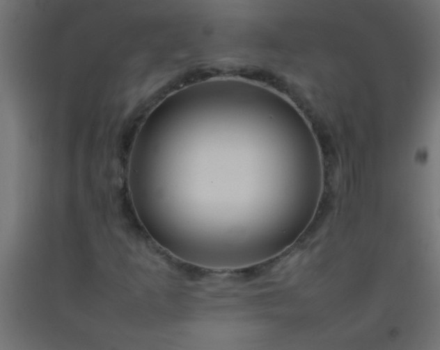 X0000092281253200709281238