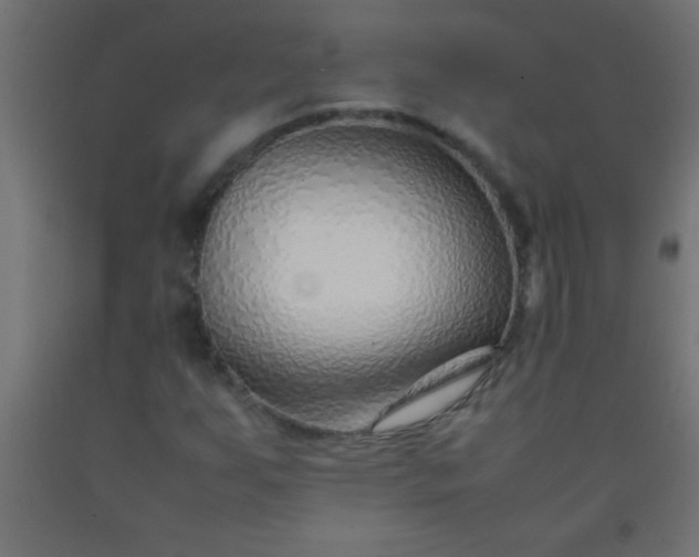 X0000092281255200709281238