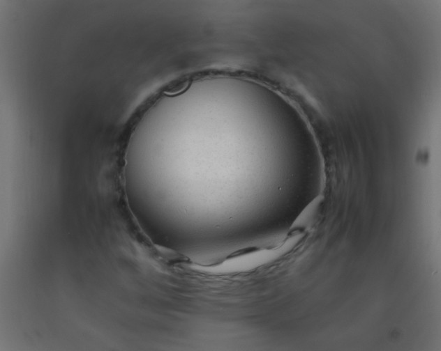 X0000092281256200709281238