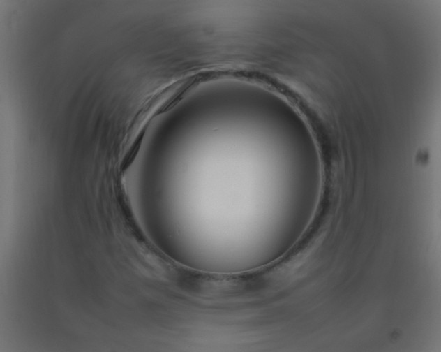 X0000092281257200709281238