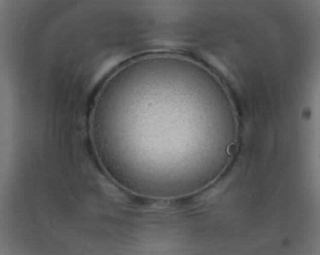 X0000092281259200709281238