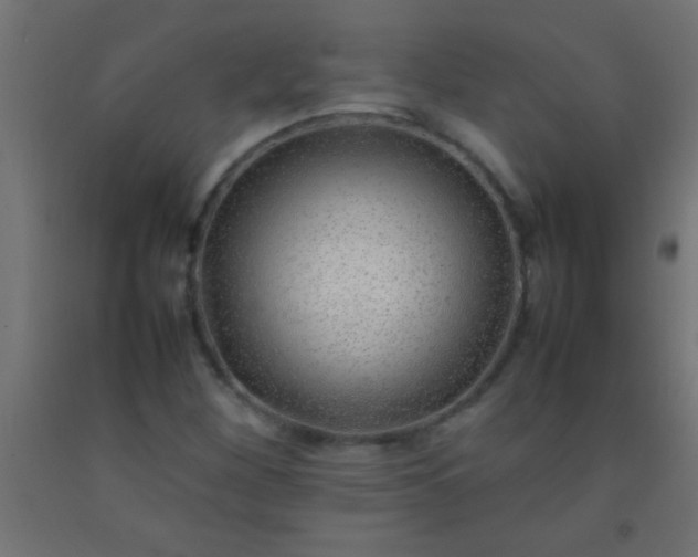 X0000092281260200709281238