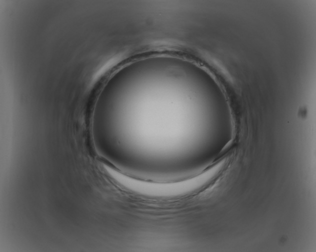 X0000092281261200709281238