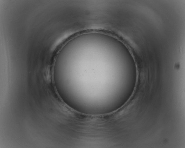 X0000092281262200709281238