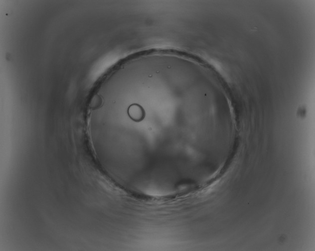 X0000092281263200709281238