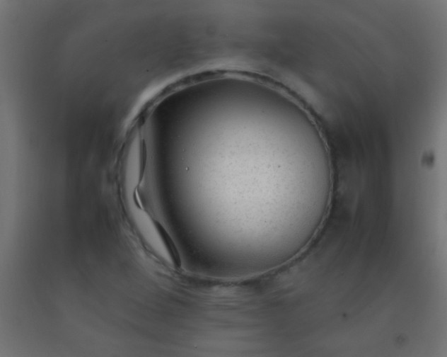 X0000092281264200709281238