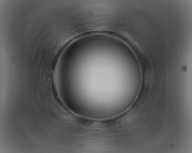 X0000092281265200709281238