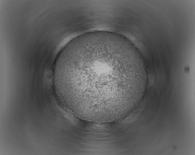 X0000092281266200709281238