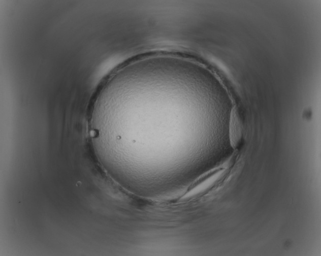 X0000092281267200709281238