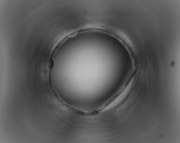 X0000092281268200709281238