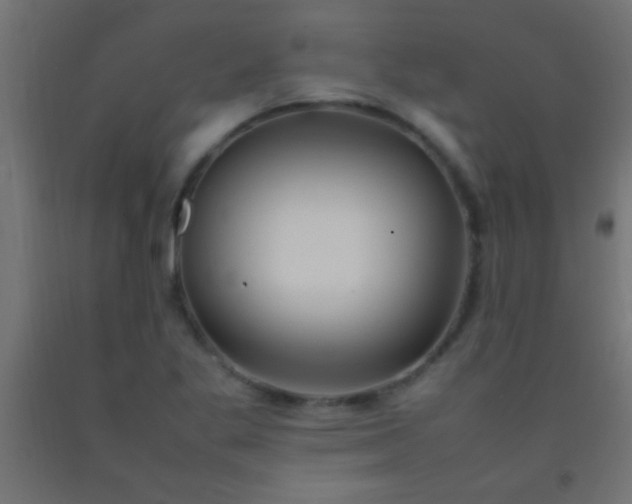 X0000092281269200709281238