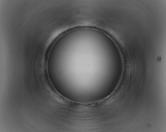 X0000092281270200709281238