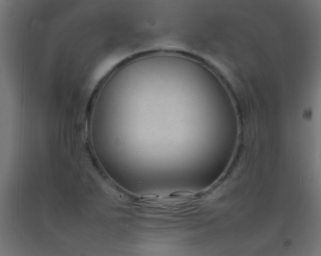 X0000092281271200709281238