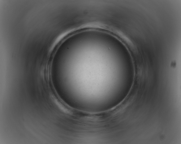 X0000092281272200709281238