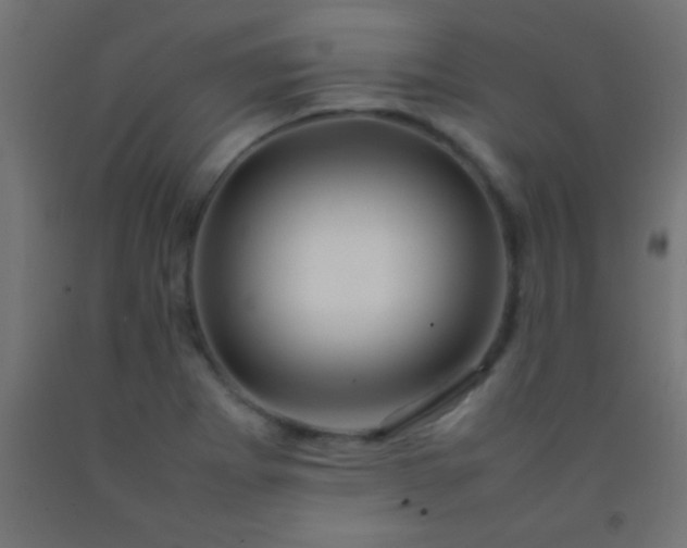 X0000092281273200709281238