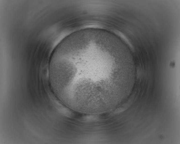 X0000092281274200709281238