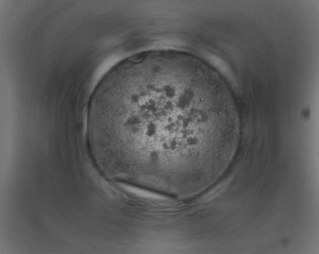 X0000092281275200709281238