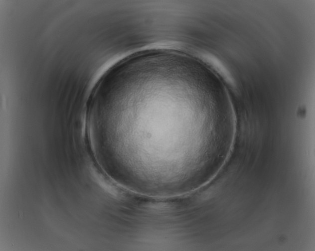 X0000092281276200709281238