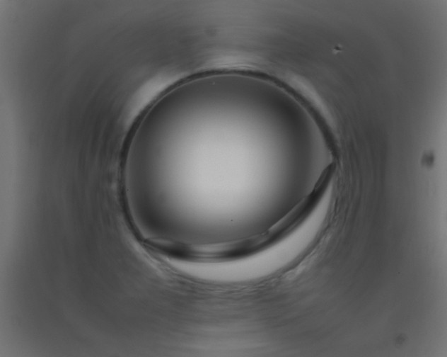 X0000092281277200709281238