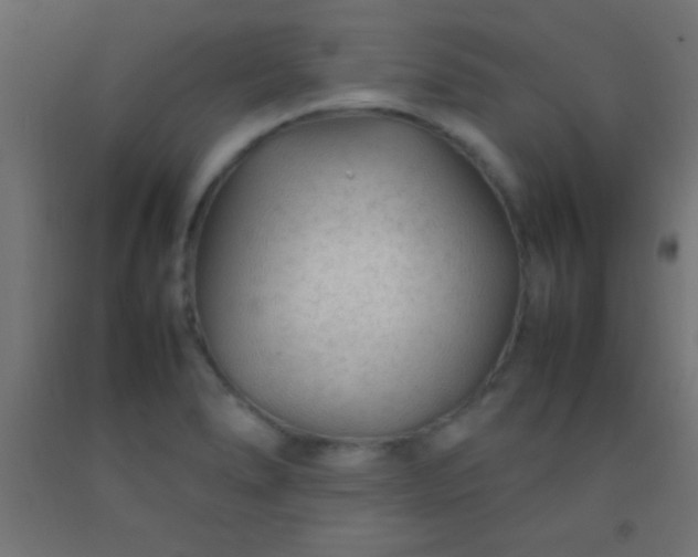 X0000092281278200709281238