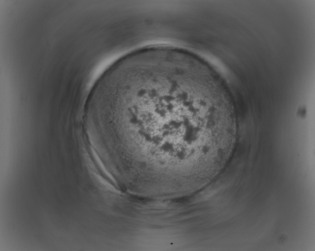 X0000092281279200709281238